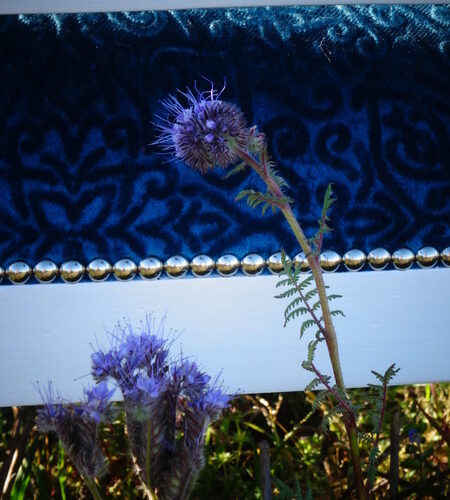 Finition clous décoratifs Finition clous décoratifs